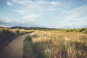 Rutland Cycle Path